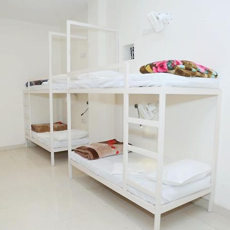 The Charlie'S Hostel นิวเดลี ภายนอก รูปภาพ